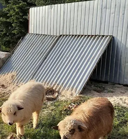 公寓 Apartament Huba *