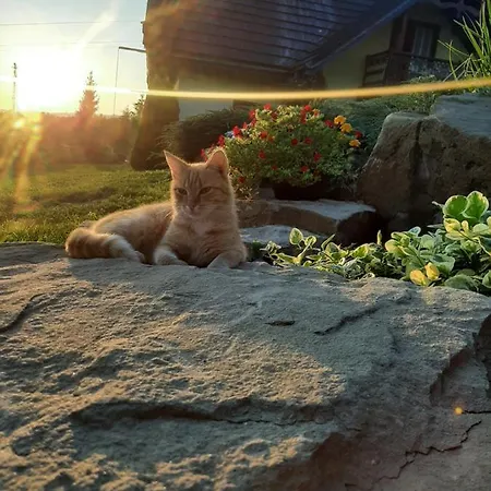 公寓 Apartament Huba *