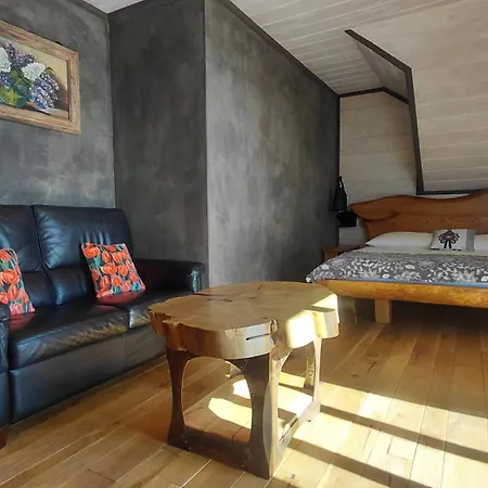 Apartament Huba * Huba