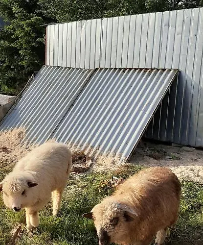 Apartman Apartament Huba *